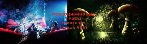 прущие крисы Мегион
