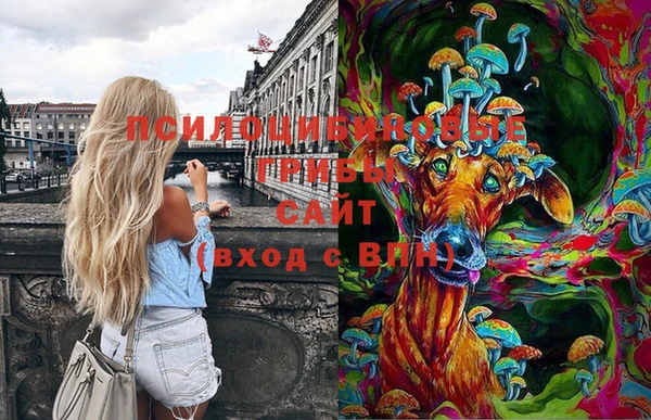 спайс Медвежьегорск