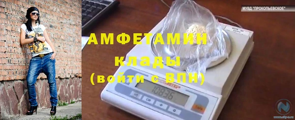тгк Михайловск