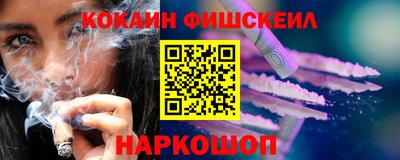 крисы Можга