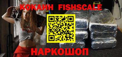 крисы Можга