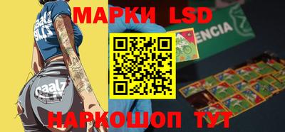 крисы Можга