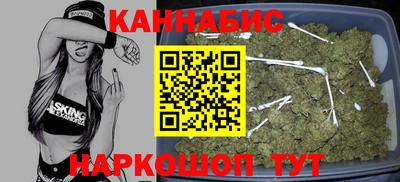 крисы Можга