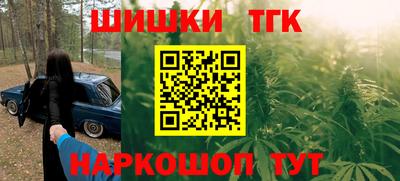 крисы Можга