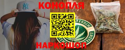 крисы Можга