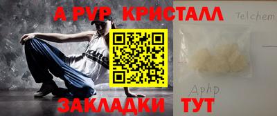 крисы Можга