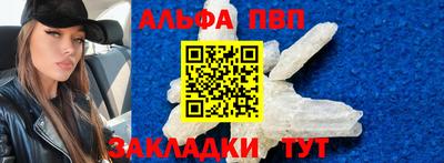 крисы Можга