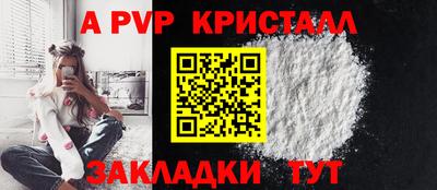 крисы Можга