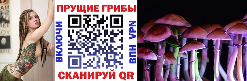 Псилоцибиновые грибы Cubensis  mega   Строитель 